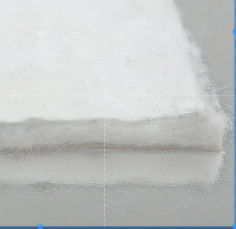 Qualité  Environmental Protection Filament Nonwoven Geotextile Geotech Fabric usine
