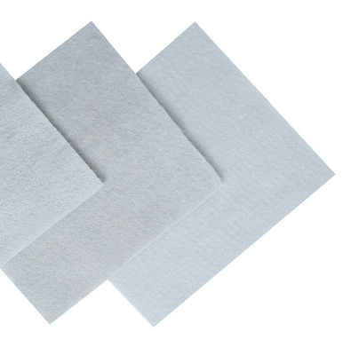 Filtre non-tissé de géotextile de tissu de Geosynthetic de polyester pour le projet de drainage d'exploitation