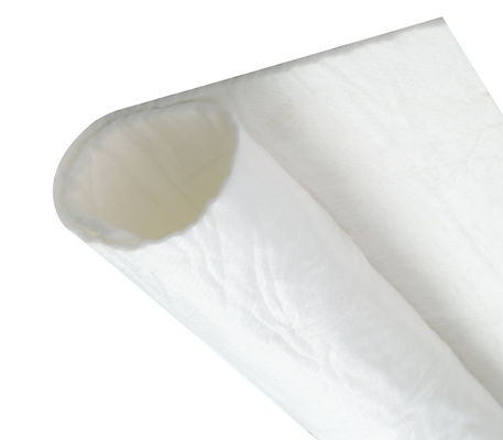 Tissu non-tissé 800 G/㎡ de tissu de Geo de géotextile de filament non-tissé