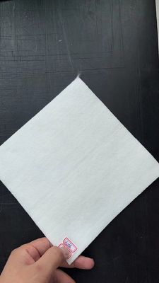Tissu ASTM 250m 500g de polyester de Geosynthetic de protection de pâtée